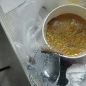 Alanya Şampiyon Restoran'da Kıllı Çorba!