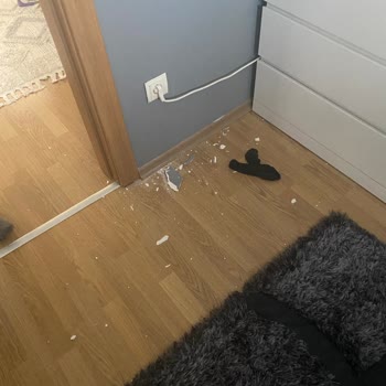 Deprem Sonrası Yetersiz Denetim Ve Bilgi Eksikliği Nedeniyle Siteyi Terk Ettik