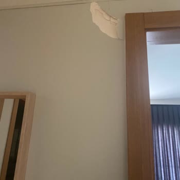 Deprem Sonrası Yetersiz Denetim Ve Bilgi Eksikliği Nedeniyle Siteyi Terk Ettik