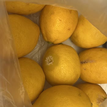 Migros Hemen'den Bayat Ve Çürük Ürün Teslimatı, Sorun Çözülmüyor