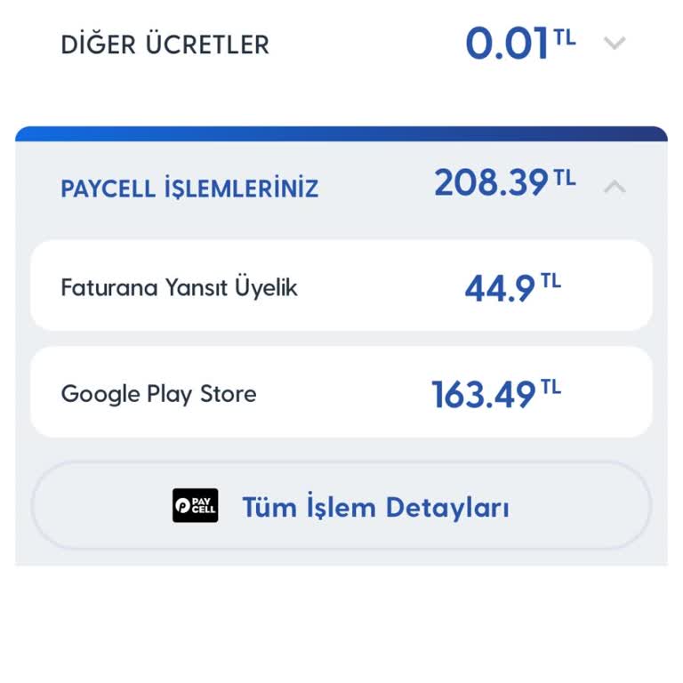 Google Play Aboneliğinin İptali Ve Çocukların Erişimi Hakkında Endişe