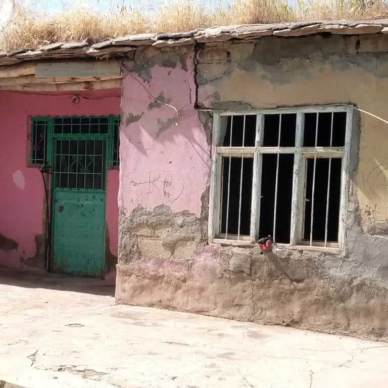 AFAD Depremzede Olarak Kira Yardımı Sorunu ve Mağduriyet