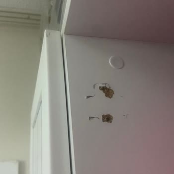 Vivense Dolap Menteşe Vidaları Çıktı, Müşteri Hizmetleri Çözüm Sunmadı