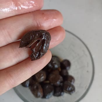 Aldığım Zeytin Çürük Çıktı, Tukaş'tan Hayal Kırıklığı