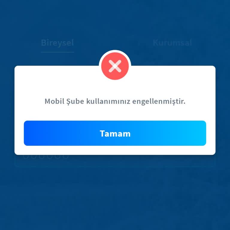 Halkbank Mobil Şube Erişim Engeli Nedeniyle Mağduriyet Yaşıyorum