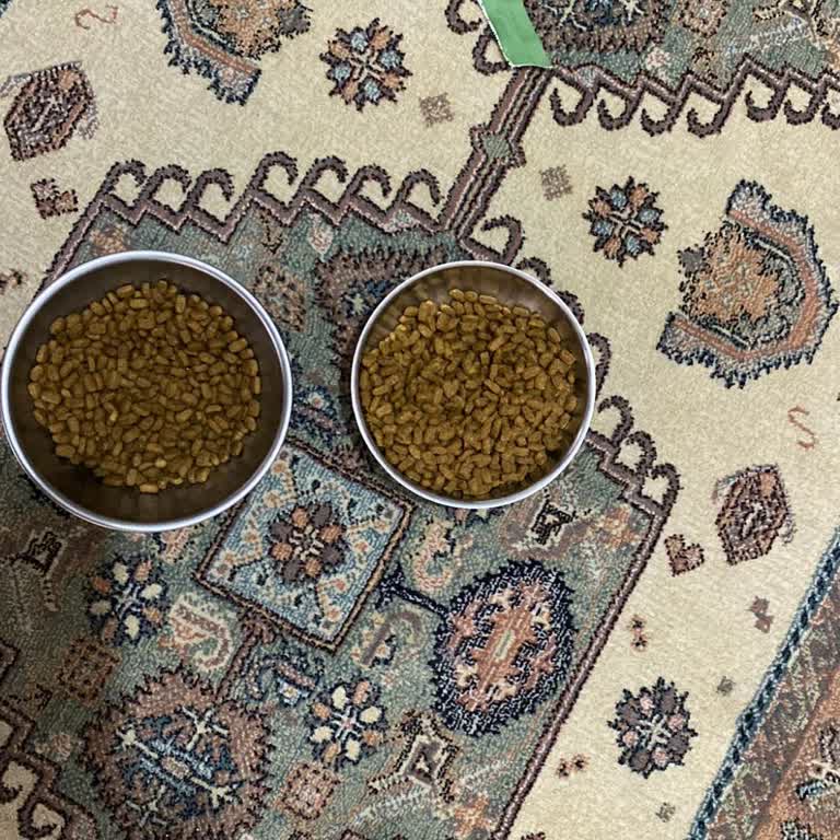 Paw's Secret'ten Aldığım Kedi Mamasının Orijinal Olmadığından Şüpheliyim Ve İade Sorunu Yaşıyorum!