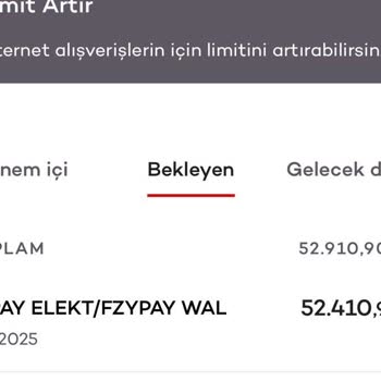 İndirimli Gösterilen Ürünle Yüksek Tutarlı İzinsiz İşlem Mağduriyeti
