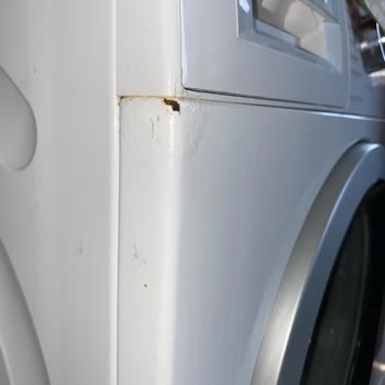 Bosch Serie 6 Çamaşır Makinesinde Erken Çürüme Ve Küflenme Sorunu