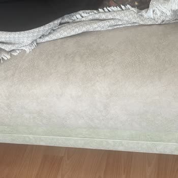 Koltuk Takımında Garanti Sonrası Yeşillenme Sorunu