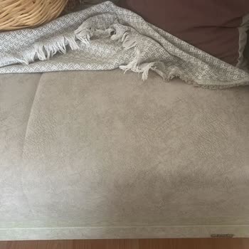 Koltuk Takımında Garanti Sonrası Yeşillenme Sorunu