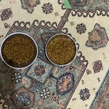 Epttavm Aldığım Kedi Maması Orijinal Değil, İade Ve Para İadesi Talep Ediyorum