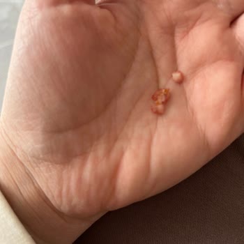 Başyazıcı Sucukta Kemik Ve Kıkırdak Parçaları, Lezzet Sorunu