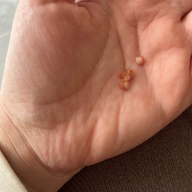 Başyazıcı Sucukta Kemik Ve Kıkırdak Parçaları, Lezzet Sorunu
