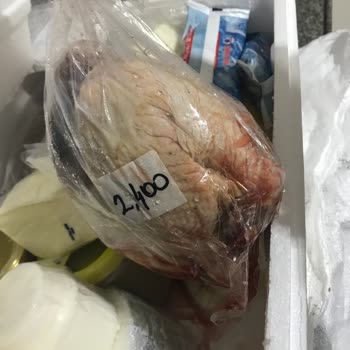 MNG Kargo Dondurulmuş Gıdaları Geç Ve Hasarlı Teslim Etti Mağduriyet Yaşadım