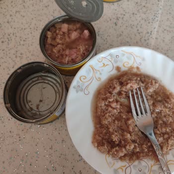 Superfresh Ton Balığı Ürünü Beklenenden Farklı Ve Sağlıksız Çıktı