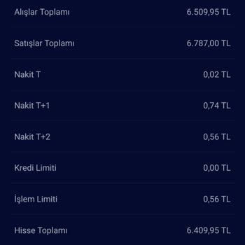 Garanti E-trader'da Varant Satışında Açıklanamayan Para Kaybı