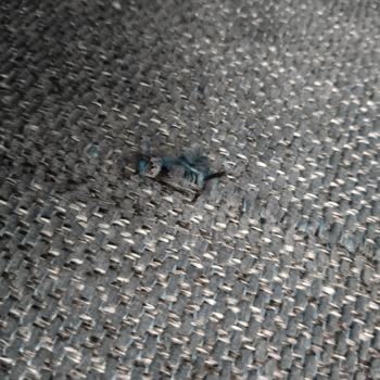 Teslim Edilen Koltuk Takımında Kumaş Açılması Ve Servis İlgisizliği