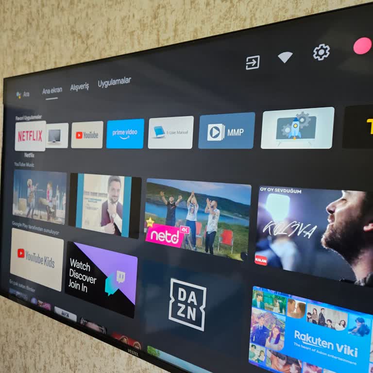 Vestel Android TV Software Errors