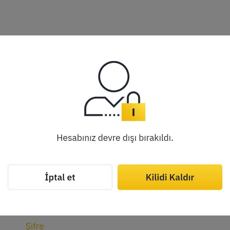 Binance TR Hesabım Günlerdir Kilitli Destek Alamıyorum