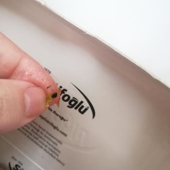 Fıstıklı Tulumba Tatlısında Sağlıksız Ve Sahte Ürün Şüphesi