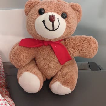 Sipariş Ettiğim Mor Peluş Yerine Farklı Renk Gönderildi