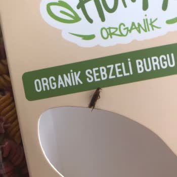 Hüma Organik Makarnadan Böcek Çıkması