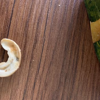 Migros'tan Aldığım Kajudan Küf Şoku: Sağlıksız Ürünle Karşılaştım