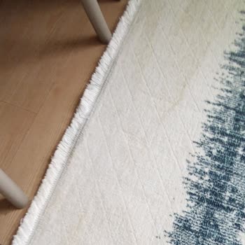 Halı Temizliği Sonrası Beklenmeyen Sorunlar Yaşadım