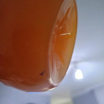 Uludağ Meyvelim Portakal'da Şüpheli Cisim ve Denetim Eksikliği