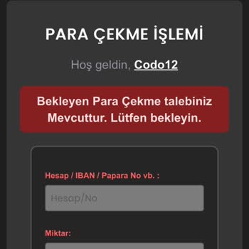 Çekim Talebinde Gecikme Ve Destek Eksikliği Yaşıyorum