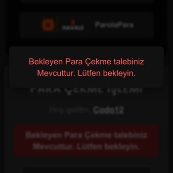 Çekim Talebinde Gecikme Ve Destek Eksikliği Yaşıyorum