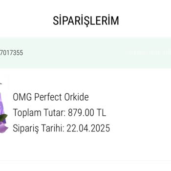 Sipariş Edilen Orkide Yerine Küçük Ve Farklı Renk Gönderildi