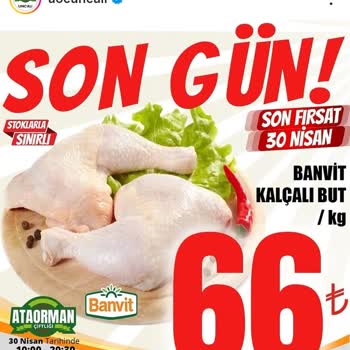 Aldığım Tavuk Ürünü Bozuk Çıktı, Sağlığımız Tehlikeye Girdi