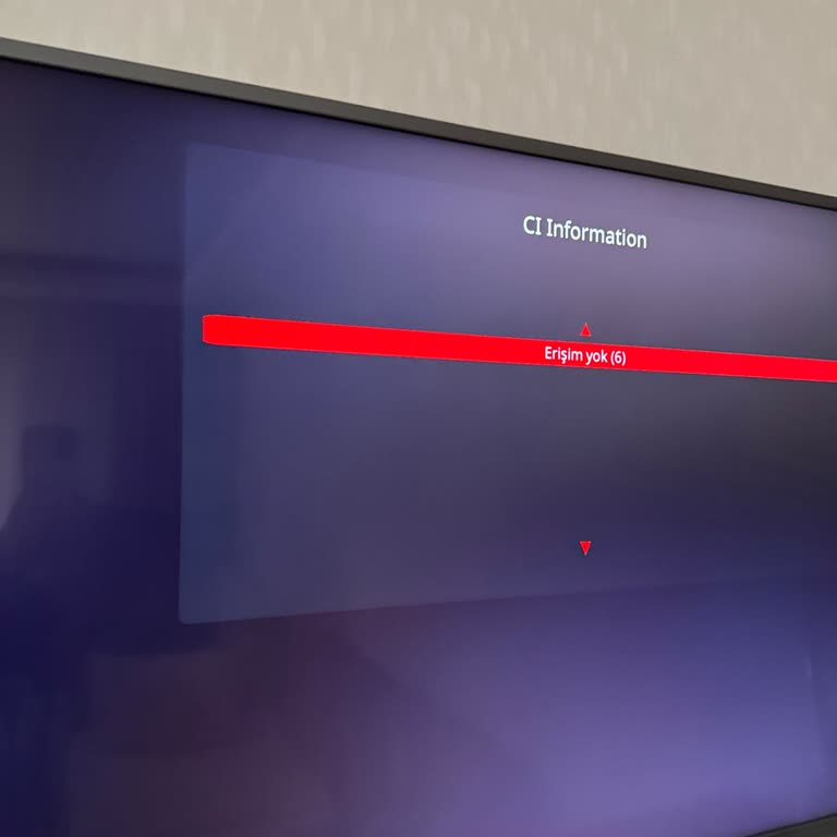 Arçelik TV'de Sürekli İnternet Kesintisi Ve Erişim Sorunu Yaşıyorum