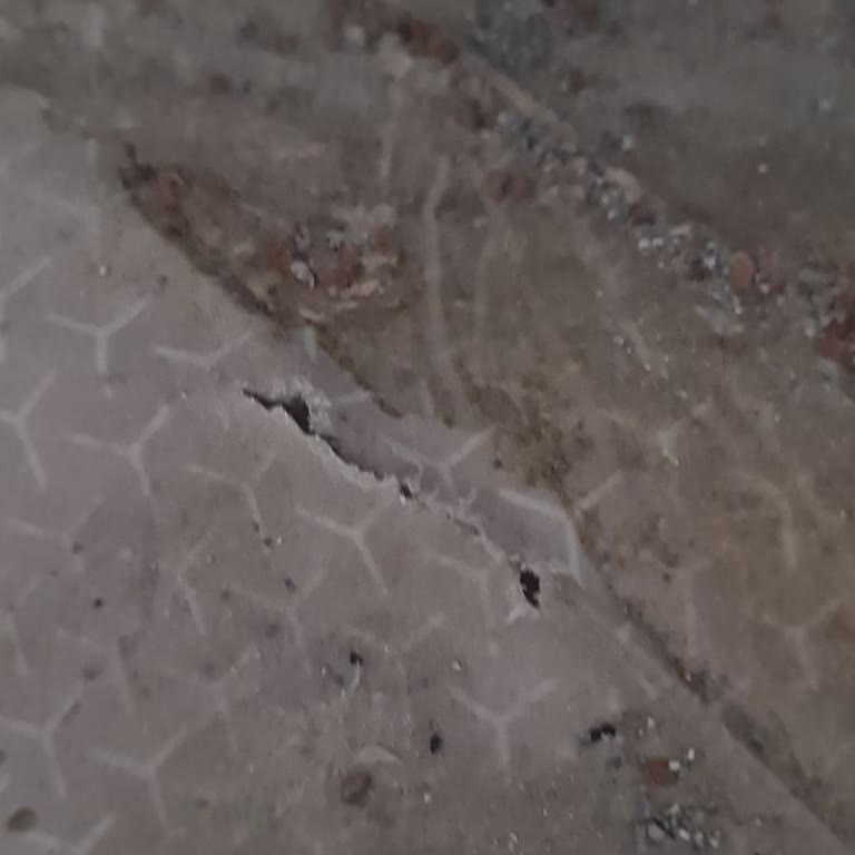 Xiaomi Yetkili Servis | Evofone Yedek Parça Yok, 27 Bin TL'lik Kedi Tuvaleti Kullanılamıyor