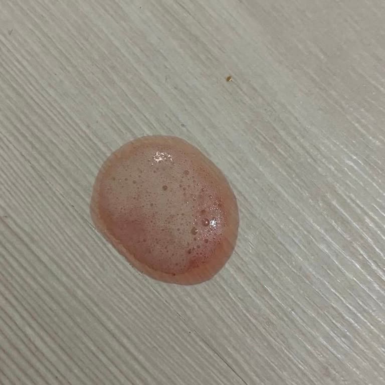 Kedi Maması Teslimatındaki Gecikme Kedimin Sağlığını Riske Attı