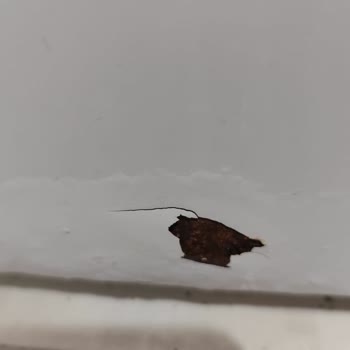 My Bosch Washing Machine Rusted in 3.5 Years and Wasn’t Covered Under Warranty