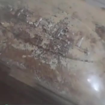 Serel Helvadan Saç Çıktı!