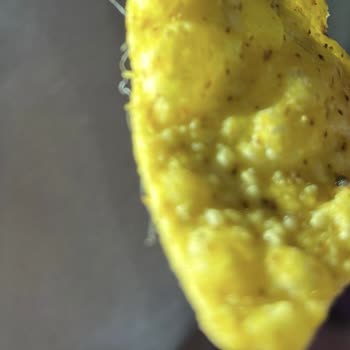 Doritos Dippas Paketinden Çıkan Kıl Yumağıyla Büyük Hayal Kırıklığı