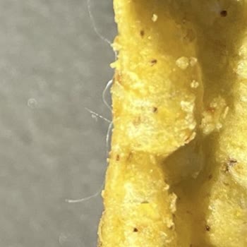 Doritos Dippas Paketinden Çıkan Kıl Yumağıyla Büyük Hayal Kırıklığı