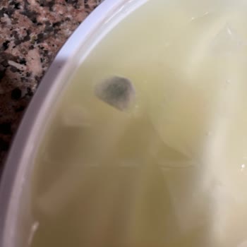 Son Kullanım Tarihi Geçmemiş Peynirin Küflü Çıkması