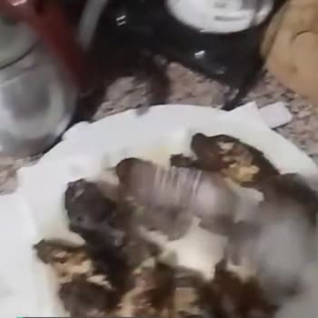 Arifoğlu Tavuk Pane Harcı