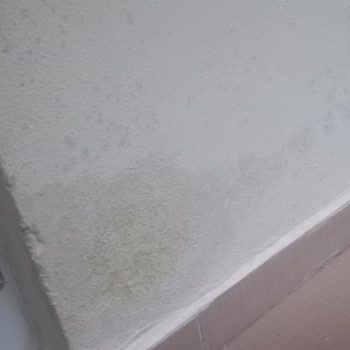 Ray Sigorta'nın İlgisizliği Ve Ekspertiz Gecikmesi Komşularımla Sorun Yaşattı