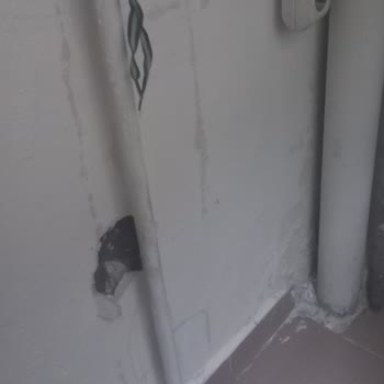 Ray Sigorta'nın İlgisizliği Ve Ekspertiz Gecikmesi Komşularımla Sorun Yaşattı