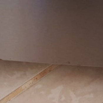 Bosch Solo XL No Frost Buzdolabında Pas Lekesi