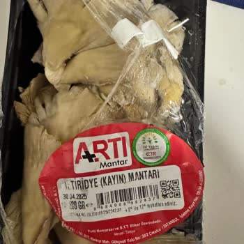 Migros Sanal'dan Aldığım İstiridye Mantarı Yine Küflü Geldi