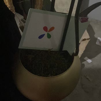 Siparişimdeki Orkide Kırık Ve Ölü Halde Teslim Edildi, Mağduriyetimin Giderilmesini İstiyorum