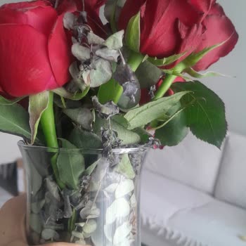 Teslim Edilen Çiçeklerin Tazeliği Ve Müşteri Hizmetleri Süreci Hakkında Sorun