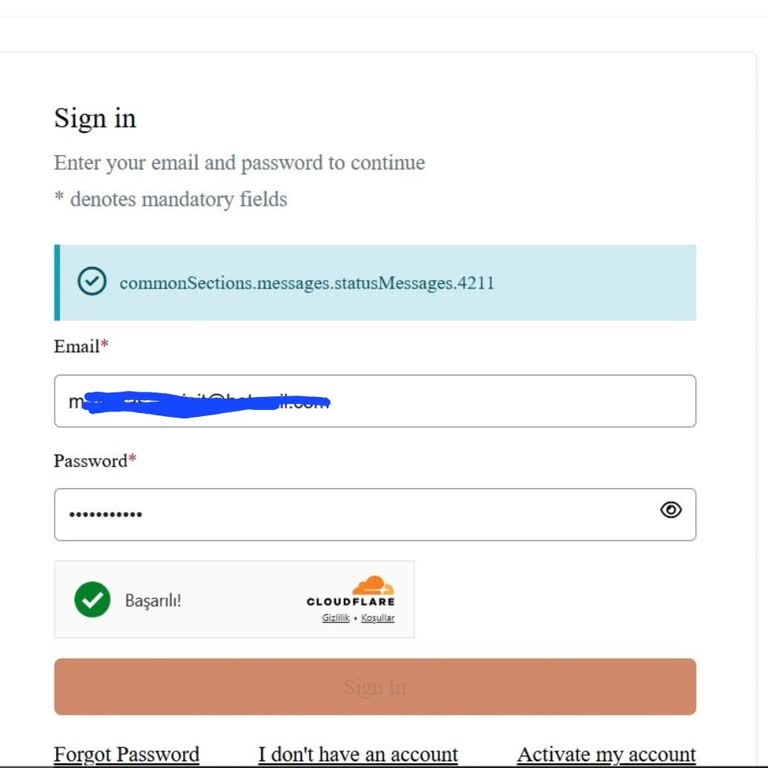 Fransa Vize Randevu Sisteminde Şifre Gelmiyor Ve Hata Mesajı Alıyorum