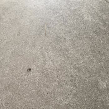 Vatan Bilgisayar Ve Dreame Mağduriyet Yaşama